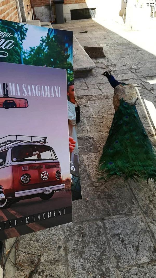 Испания, Новая Враджамандала